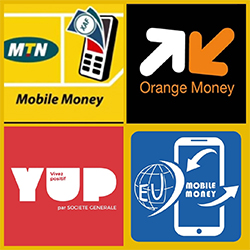 Mobile Payments (OM/MoMo/Eu Money)